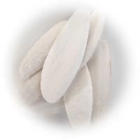 Cuttlefish Bones