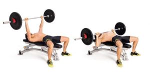 Steel Bench Press
