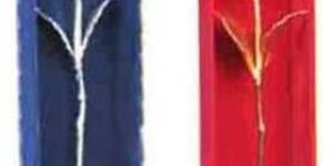 Silver & Golden Rose