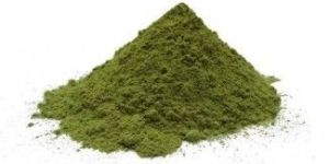 Dehydrated Spinach Powder