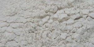 Dehydrated White Onion Powder