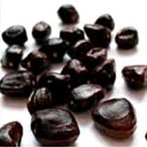 Whole Tamarind Seeds