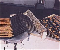 Biscuit Stacking Machine