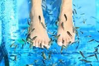 Fish Pedicure