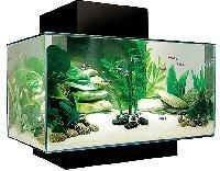 Fish Aquariums
