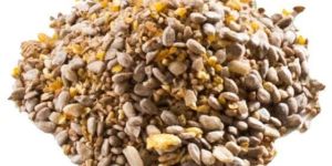 Bird Feed