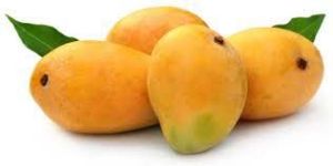 Fresh Mango