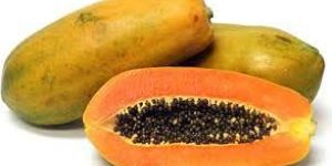 Fresh Papaya