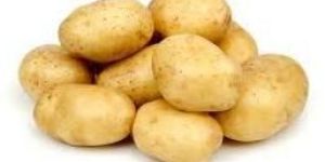 Fresh Potato