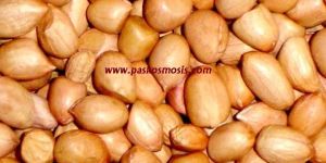 Hps Groundnuts