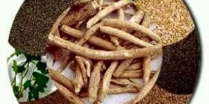 Ashwagandha Root