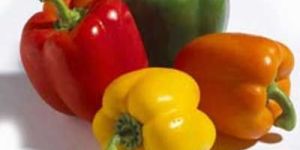 Bell Peppers