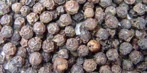 Black Peppers
