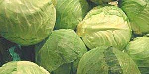 Cabbages
