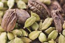 Cardamom