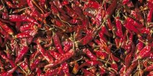 Red Chilies