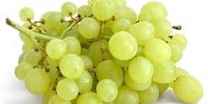Fresh Grapes