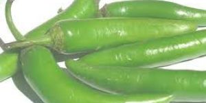 Fresh Green Chilli