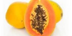 Papaya