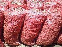 Onion Bag