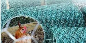 Chicken Wire Mesh Machine