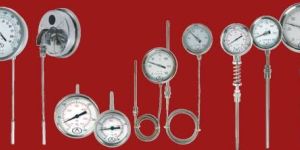 Stainless Steel Thermometer