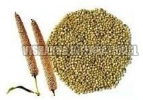 Green Millet