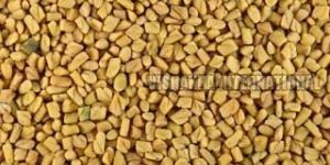Natural Fenugreek Seeds
