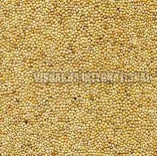 Natural Millet Seeds