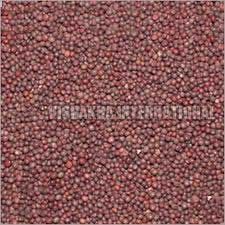 Natural Mustard Seeds