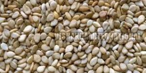 Natural Sesame Seeds