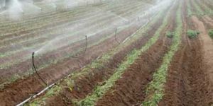 Sprinkler Irrigation System