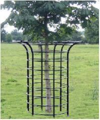 Tree Guard