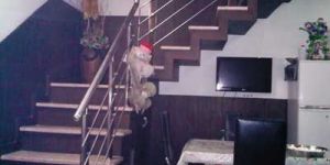 Stainless Steel Railings