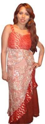 Embroidered Lehenga (Dsc 00357)