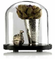 Glass Dome