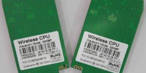 Wavecom Q2438 CDMA Module