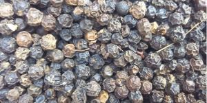 Black Pepper Seeds
