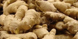Fresh Ginger