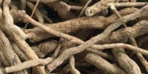 Sarpagandha Root
