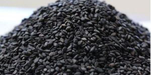 Sesame Seeds