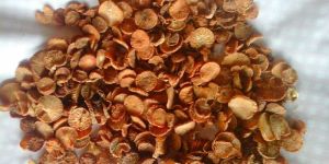 Betel Nuts