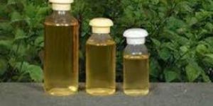 Basil Oil