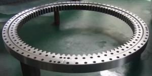 Slewing Bearing