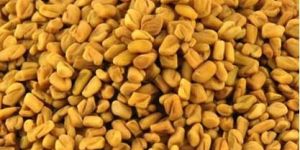 Fenugreek Seeds