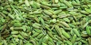Fennel Seed