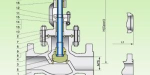Cast steel Globe valve 150 LB /300 LB