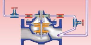 Separate Closing Speed Controls Check Valve