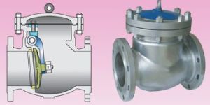 Swing Check Valve