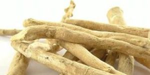 Ashwagandha Extract
